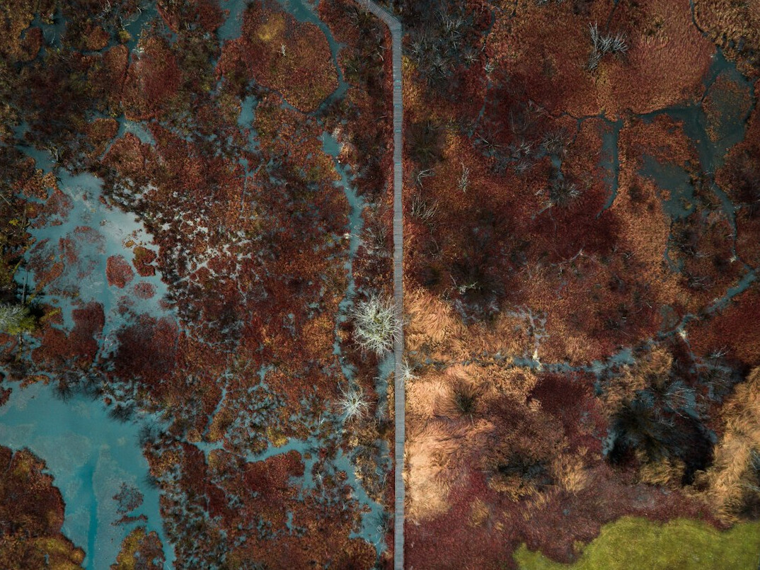 detailed fantasy map with hidden clues